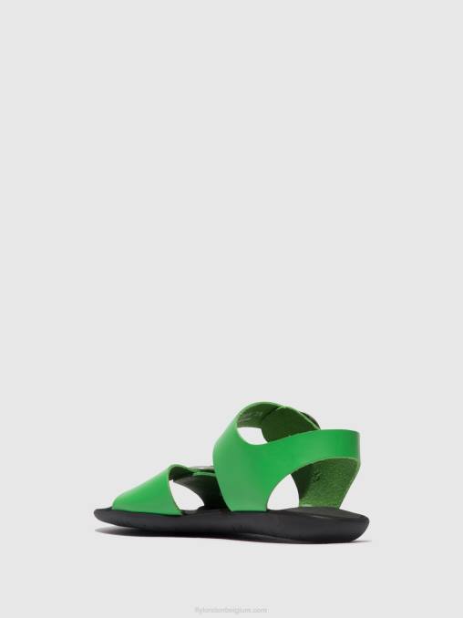 avocado Fly London vrouwen sandalen met gesp masa757 V2B0497